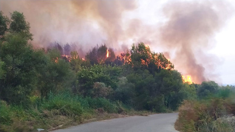 Πυρκαγιά σε αγροτοδασική έκταση στη Μηλίτσα Μεσσηνίας
