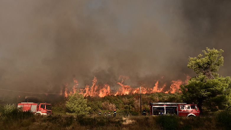 Συνελήφθη 27χρονος για πυρκαγιά από πρόθεση στην Ηλεία