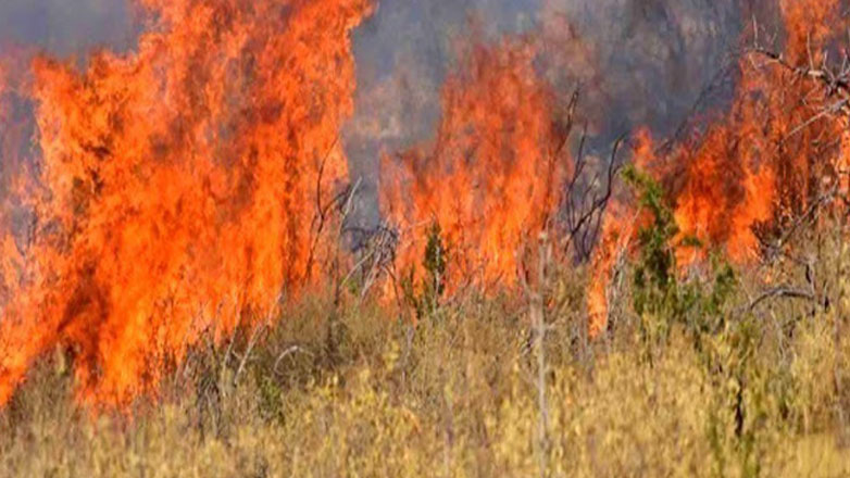 Φωτιά σε ρέμα με ξερά χόρτα στην Κηφισιά