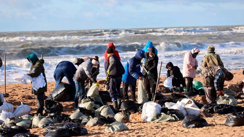 Ρωσία: Πάνω από 30 θαλάσσια κήτη βρέθηκαν νεκρά στη Μαύρη Θάλασσα