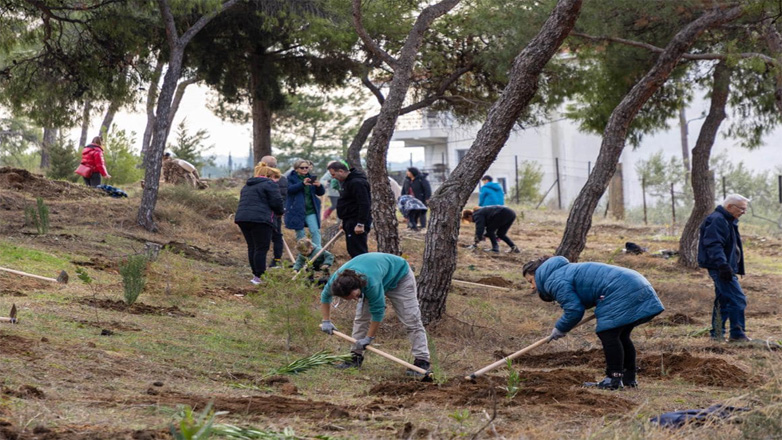 Θεσσαλονίκη: Φύτεψαν 1000 δένδρα στην Τριανδρία