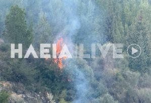 Υπό έλεγχο η φωτιά στο αναγεννημένο δάσος στον Πύργο