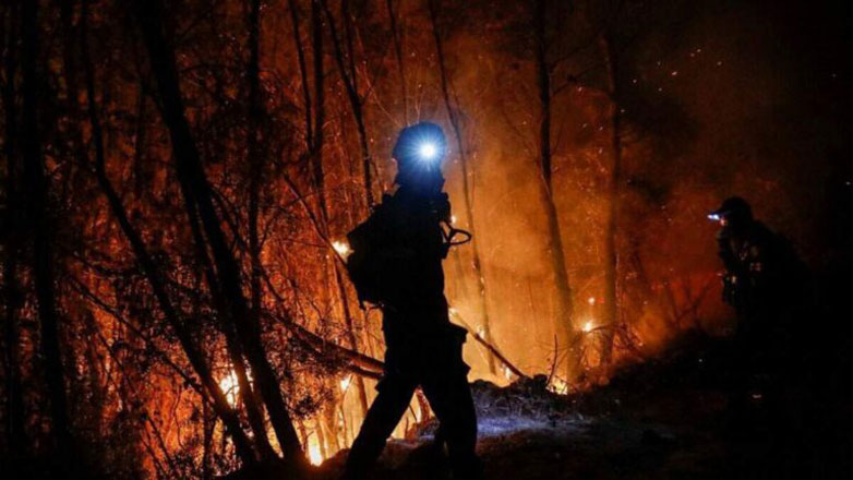 Πυρκαγιά σε δασική έκταση στην Κορωνίδα Νάξου