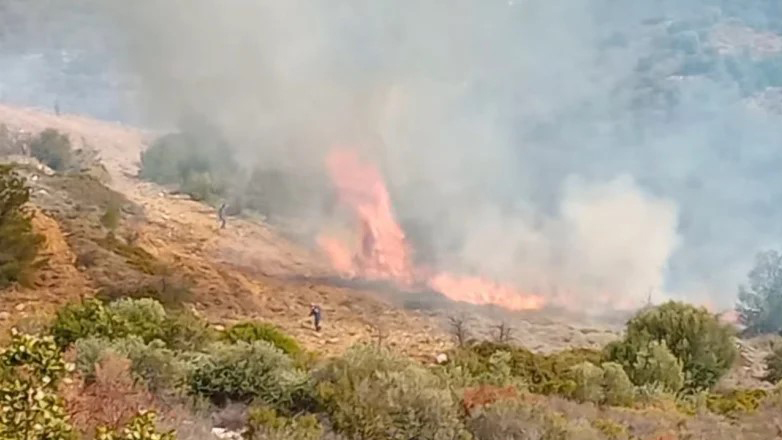 Φωτιά σε δασική έκταση στον Βαρνάβα