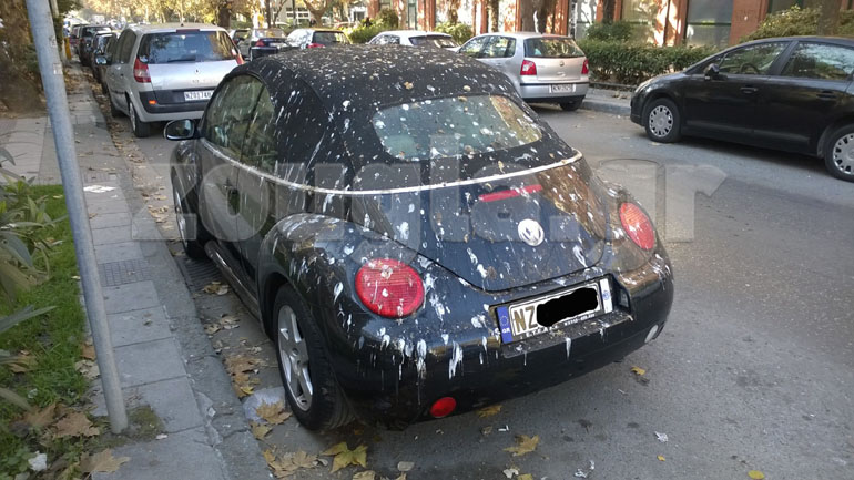 Όχι, δεν έχει χιονίσει... Απλά έχουν κάνει την ανάγκη τους τα πουλάκια!