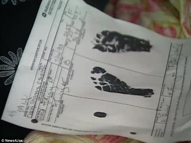 Το χαρτί αυτό ήταν το μοναδικό επίσημο στοιχείο που είχαν στην κατοχή τους οι αρχές για την Καμίγια, καθώς δεν υπήρχε καμία φωτογραφία του βρέφους