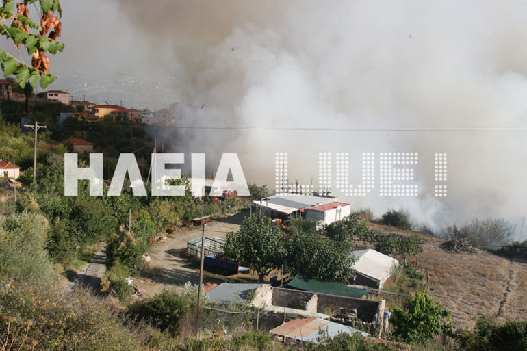 Φωτογραφία από την πυρκαγιά στην Ηλεία