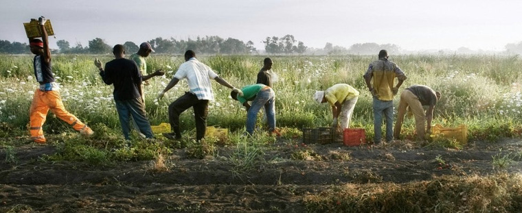 Εργάτες στα χωράφια ντομάτας στη Ν. Ιταλία