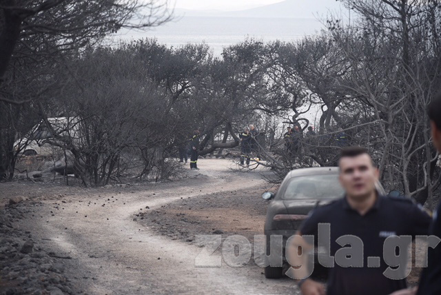 Πλάνα από το οικόπεδο όπου βράθηκαν τα 26 πτώματα