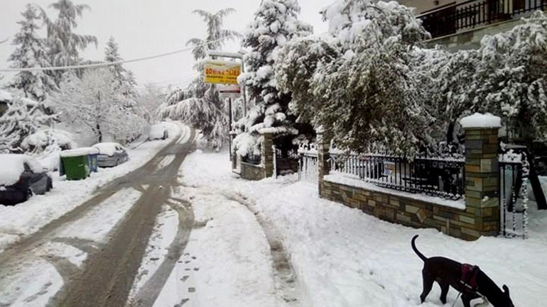 Εντυπωσιακό οδοιπορικό στον χιονισμένο Χορτιάτη