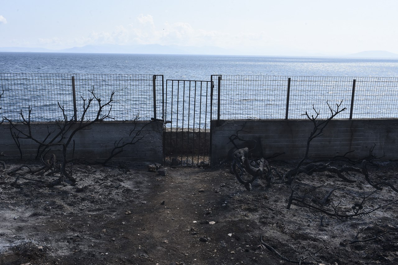 Το «οικόπεδο της φρίκης»