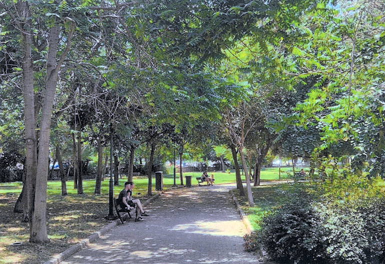 Το πράσινο και τα δέντρα εντός του πάρκου Ριζάρη