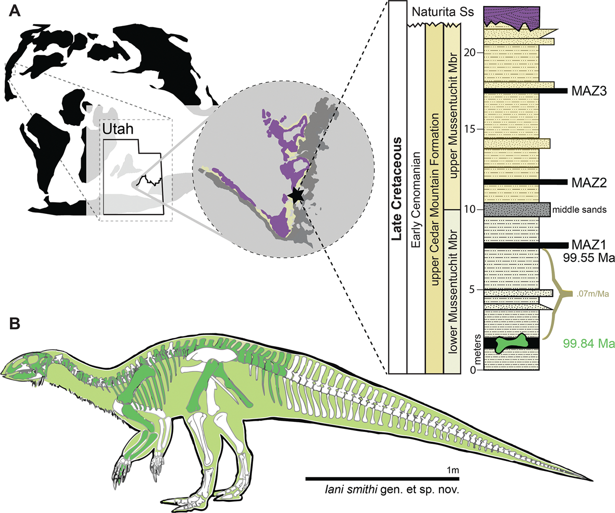 Παγκόσμιος χάρτης που δείχνει την τοποθεσία εύρεσης του δεινόσαυρου και γραφική αναπαράστασή του (με πράσινο χρώμα σημειώνεται το σκελετικό υλικό που βρέθηκε)