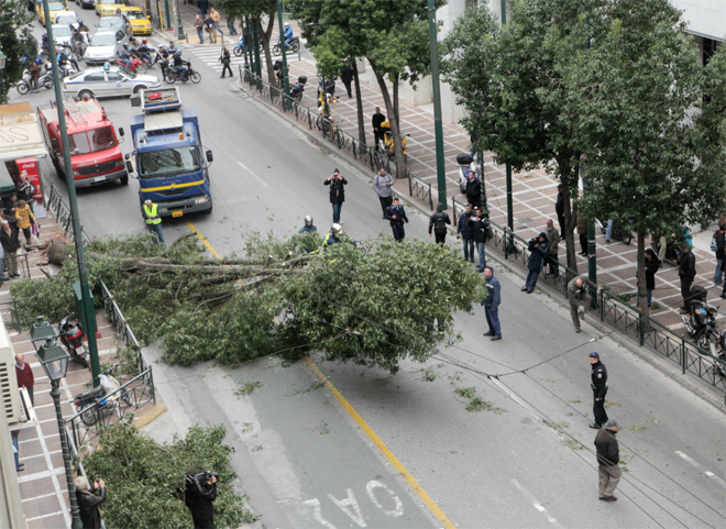 Πτώση δέντρου στο κέντρο της Αθήνας